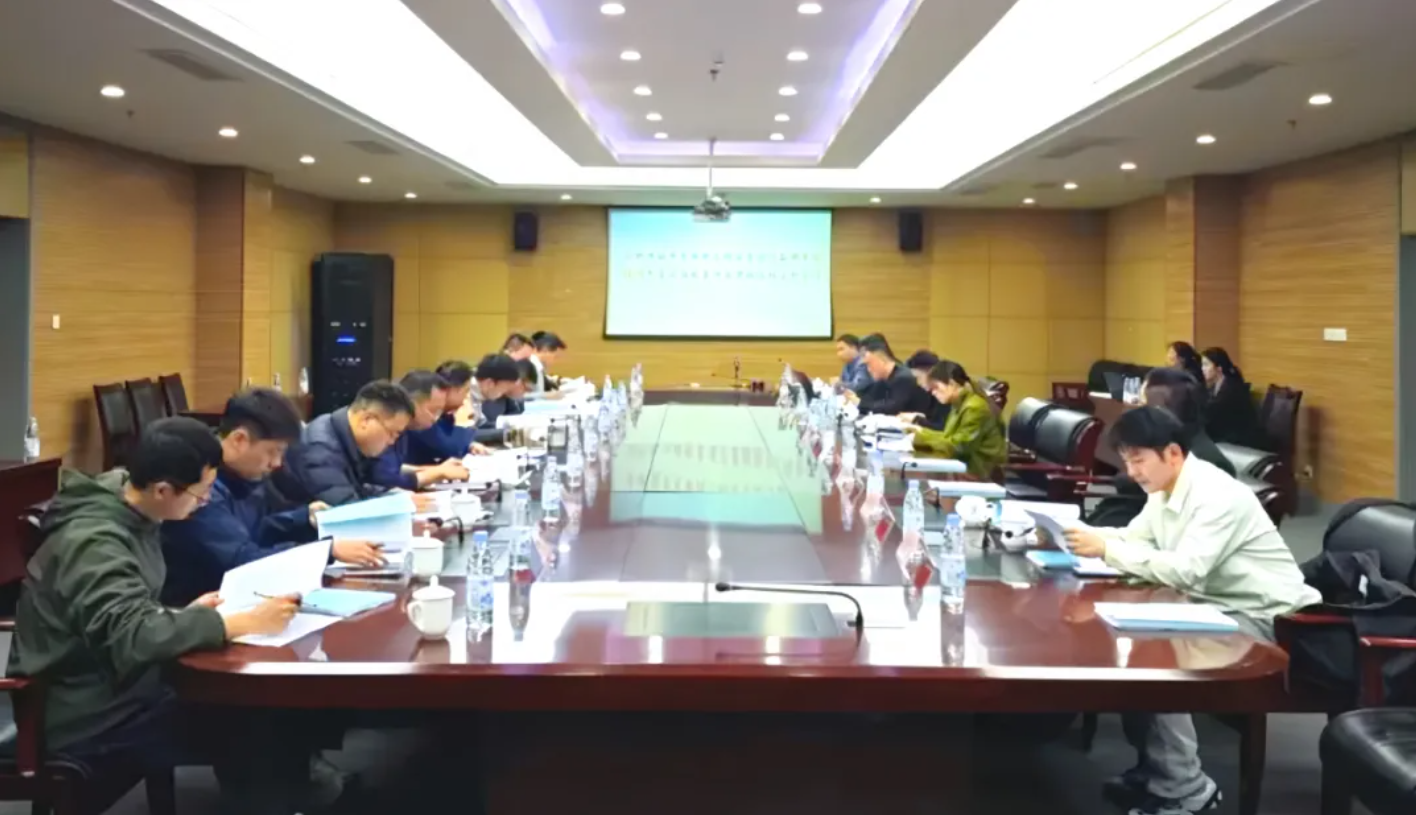 合肥市城市生命线工程安全运行监测系统2025年度运维服务项目顺利通过考核验收