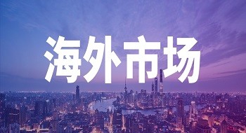 新加坡内政科技局到访辰安信息新加坡子公司