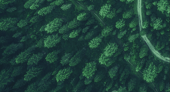 辰安科技 |  让火灾远离森林