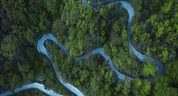 突发林火处置到防火新常态，辰安科技做对了这几点！